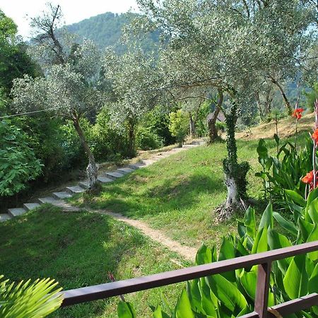 Villa Oliva New Athos Bagian luar foto