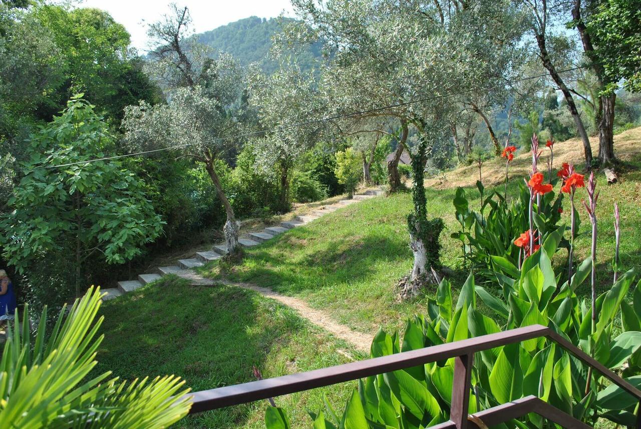 Villa Oliva New Athos Bagian luar foto
